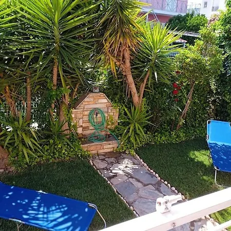 The Sunny House *