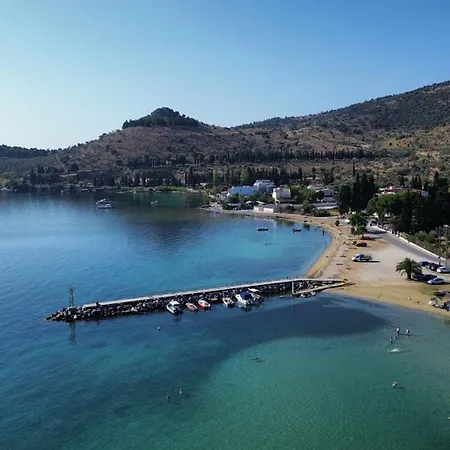 Dom wakacyjny The Sunny House *