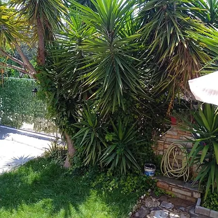 The Sunny House Holiday home