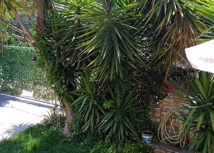 The Sunny House Dom wakacyjny